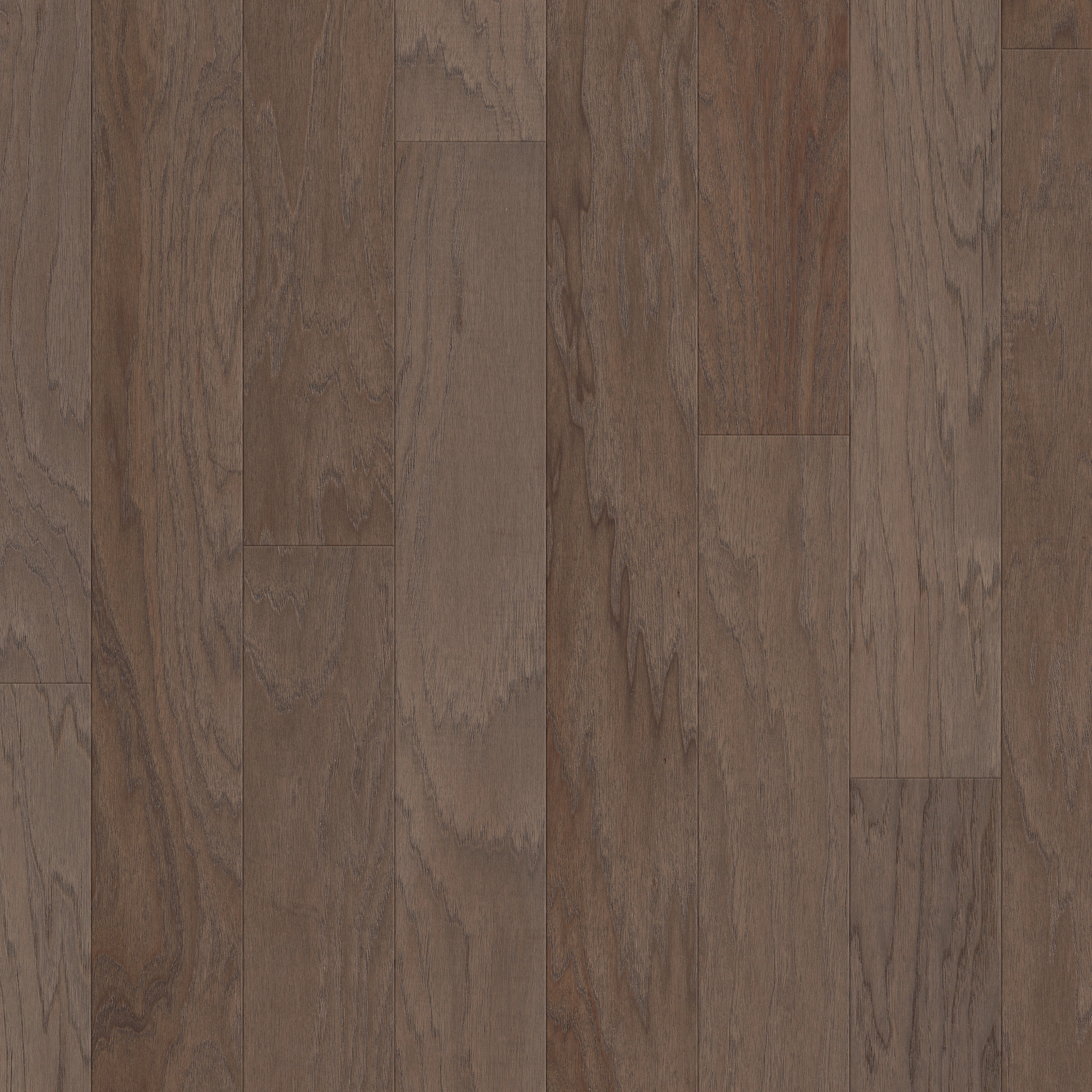 Chestnut 07035