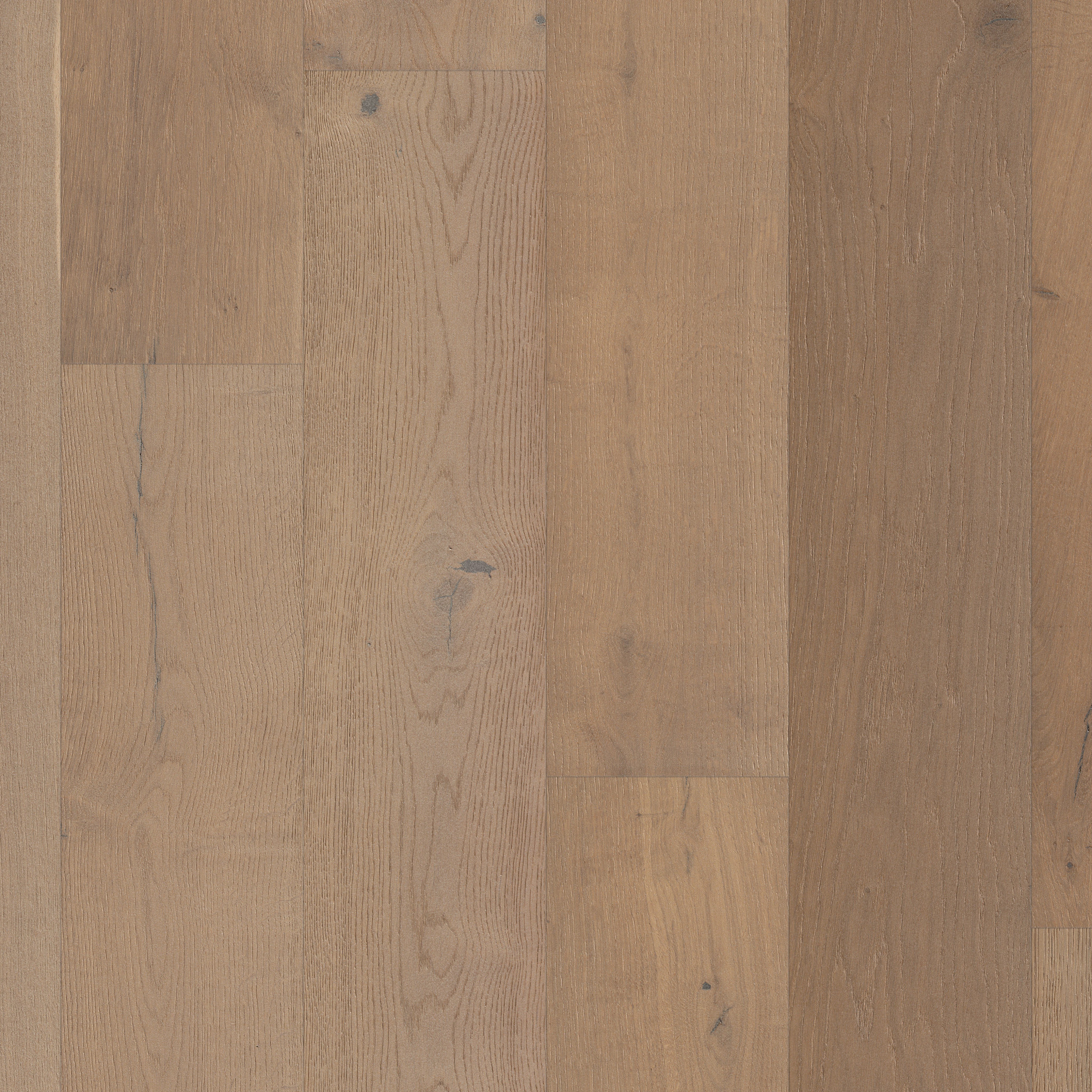 Luxe Gold 12024