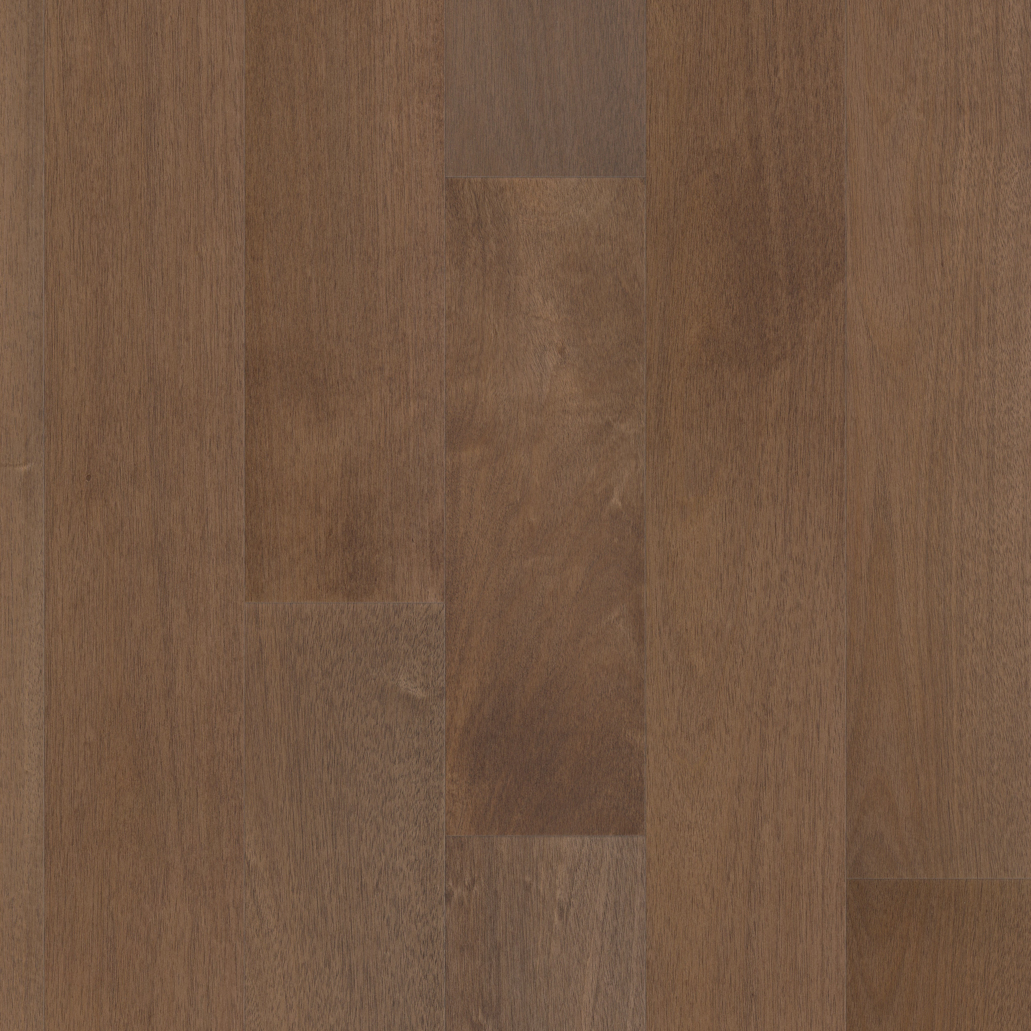 Argan 07216