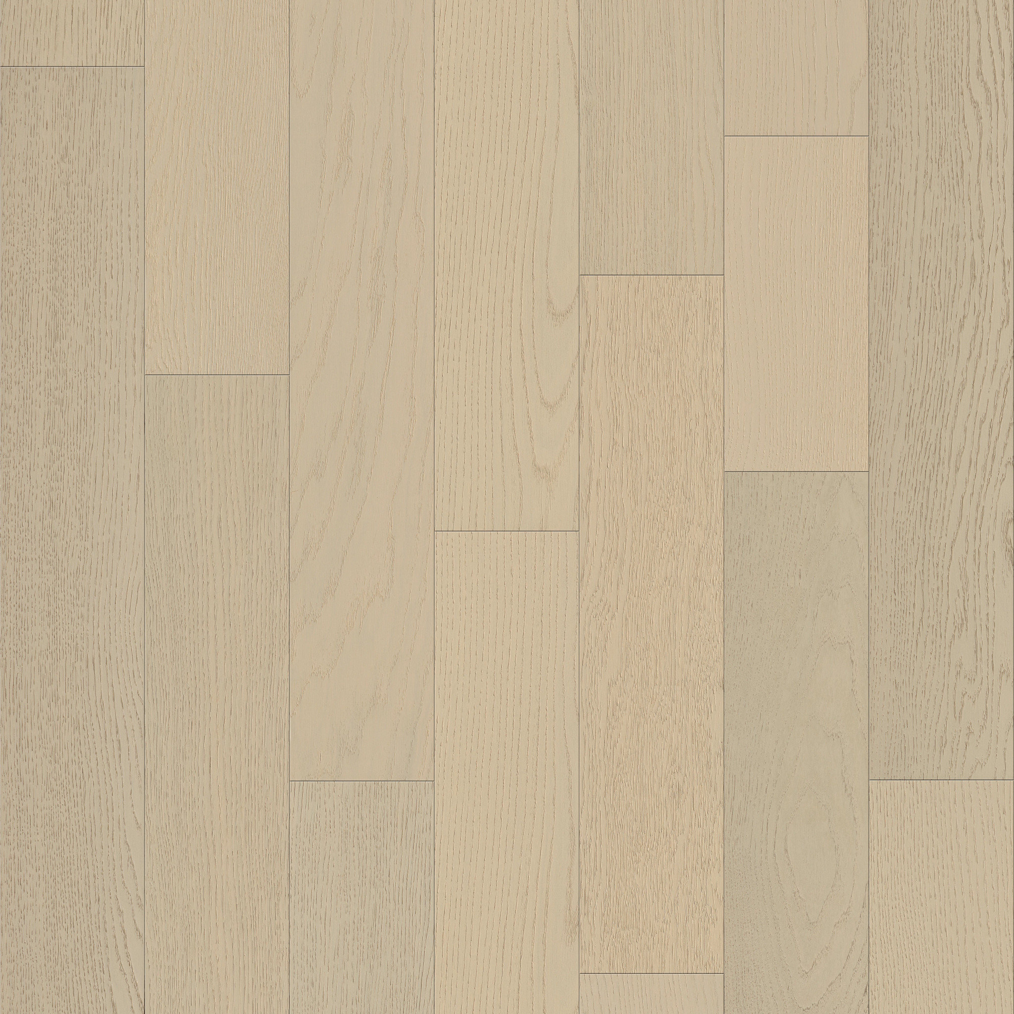 Astor 01007