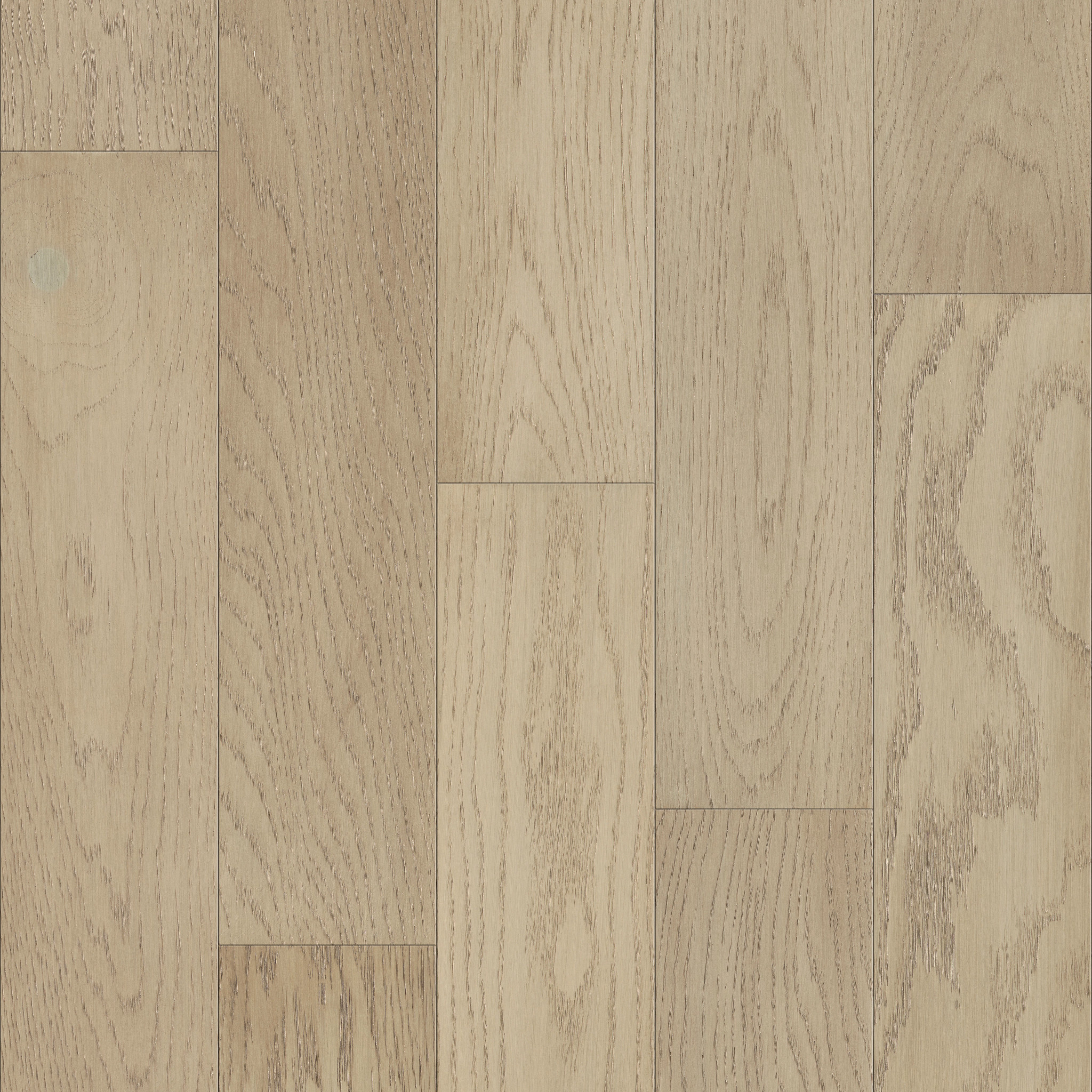 Astor 01007