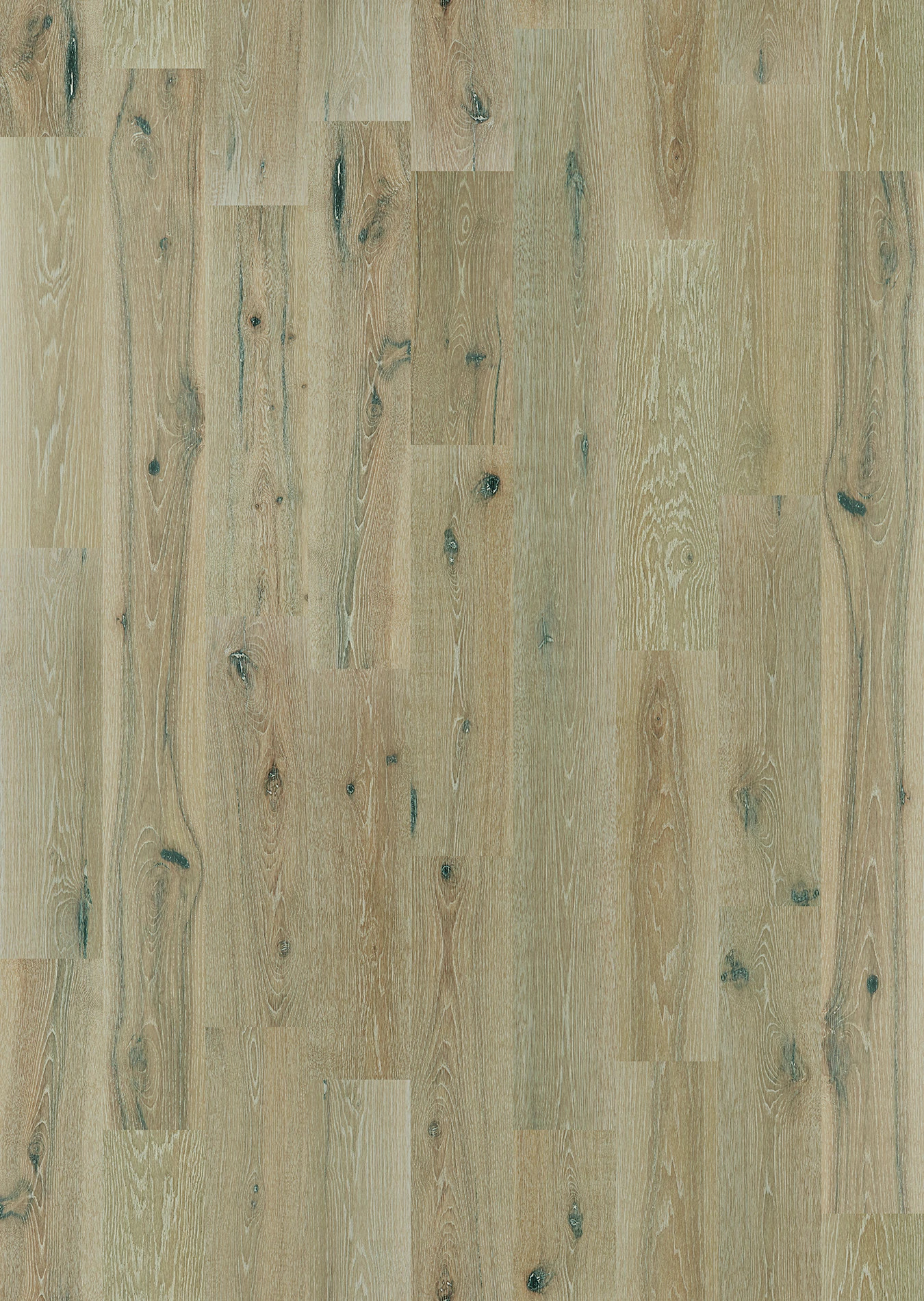 Shaw Floors Floorte Exquisite Beiged Hickory 01052_FH820