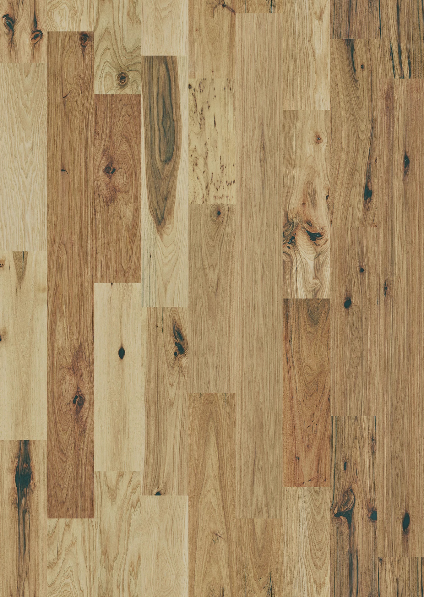 Shaw Floors Floorte Exquisite Natural Hickory 02042_FH820