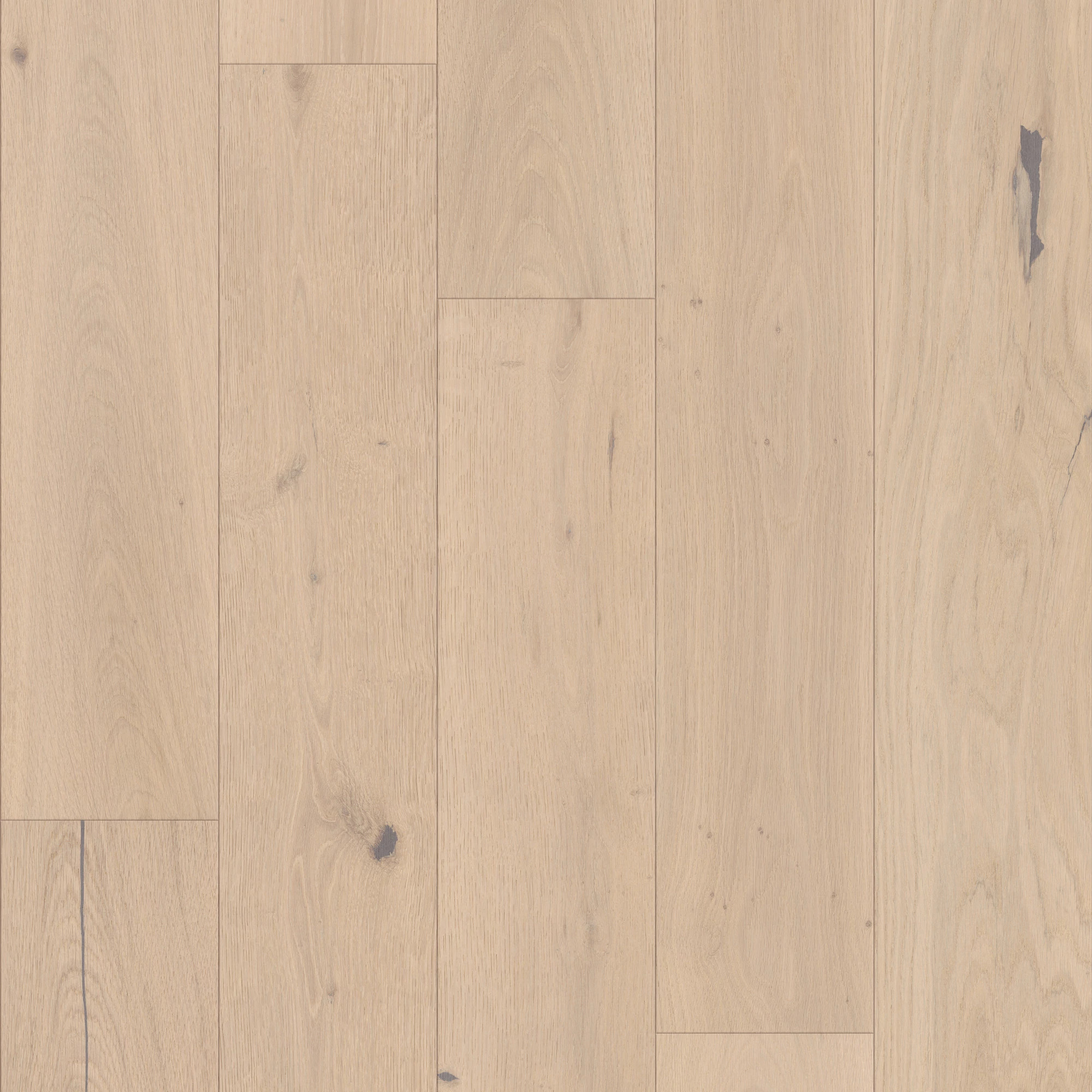 Cadence 01162