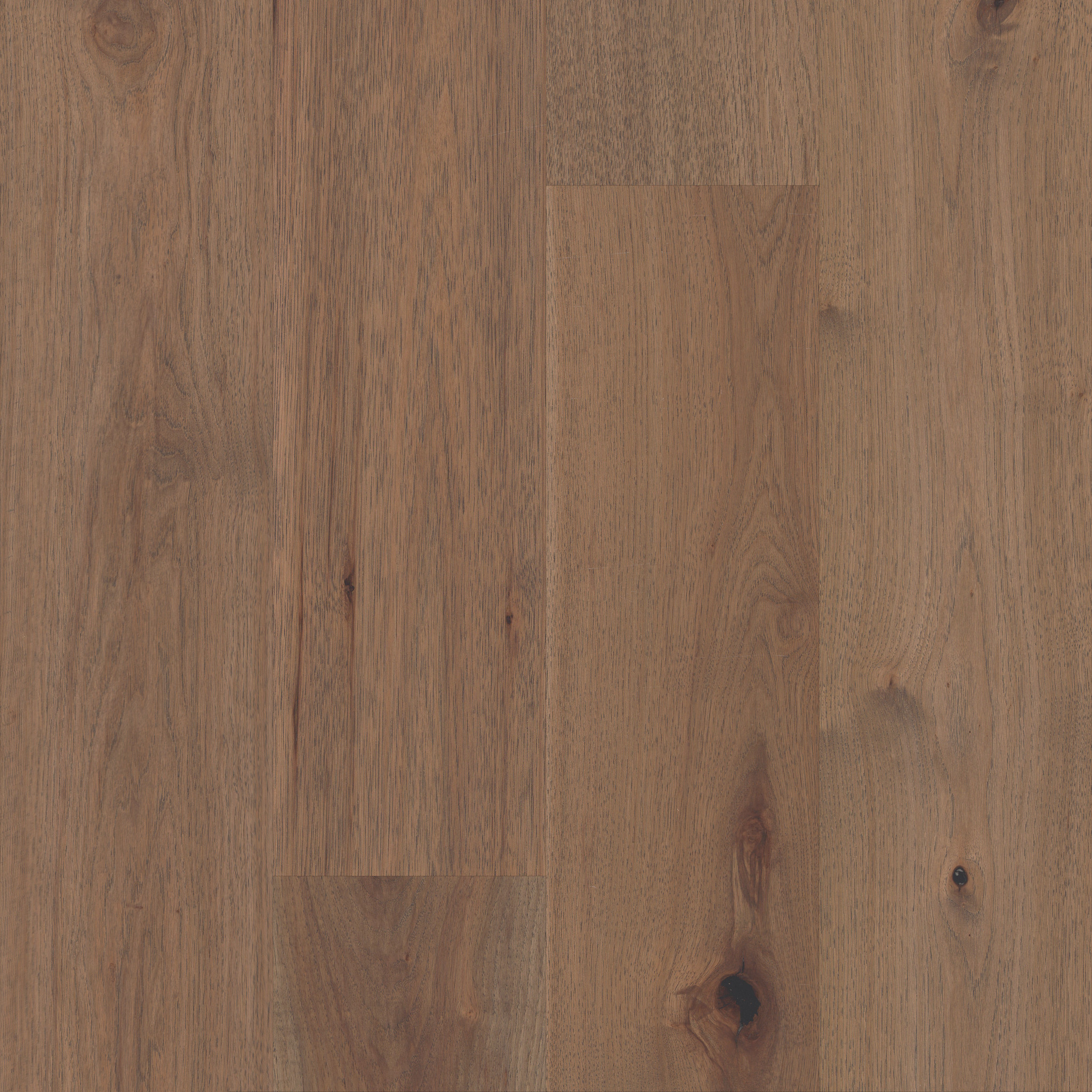 Fawn 11055