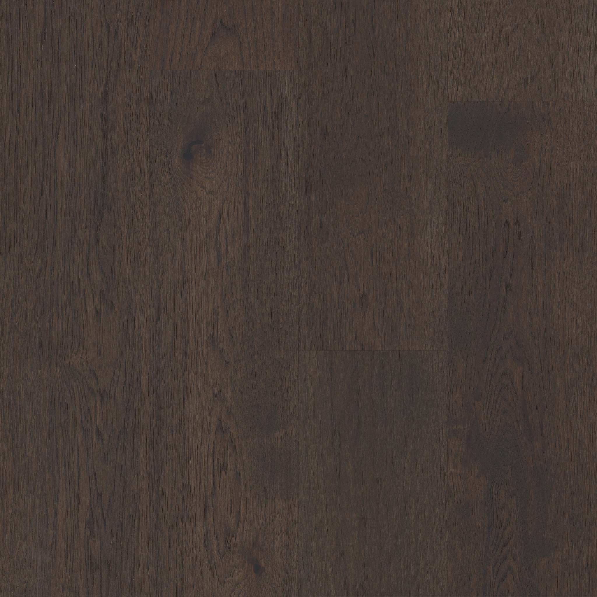Umber 17033