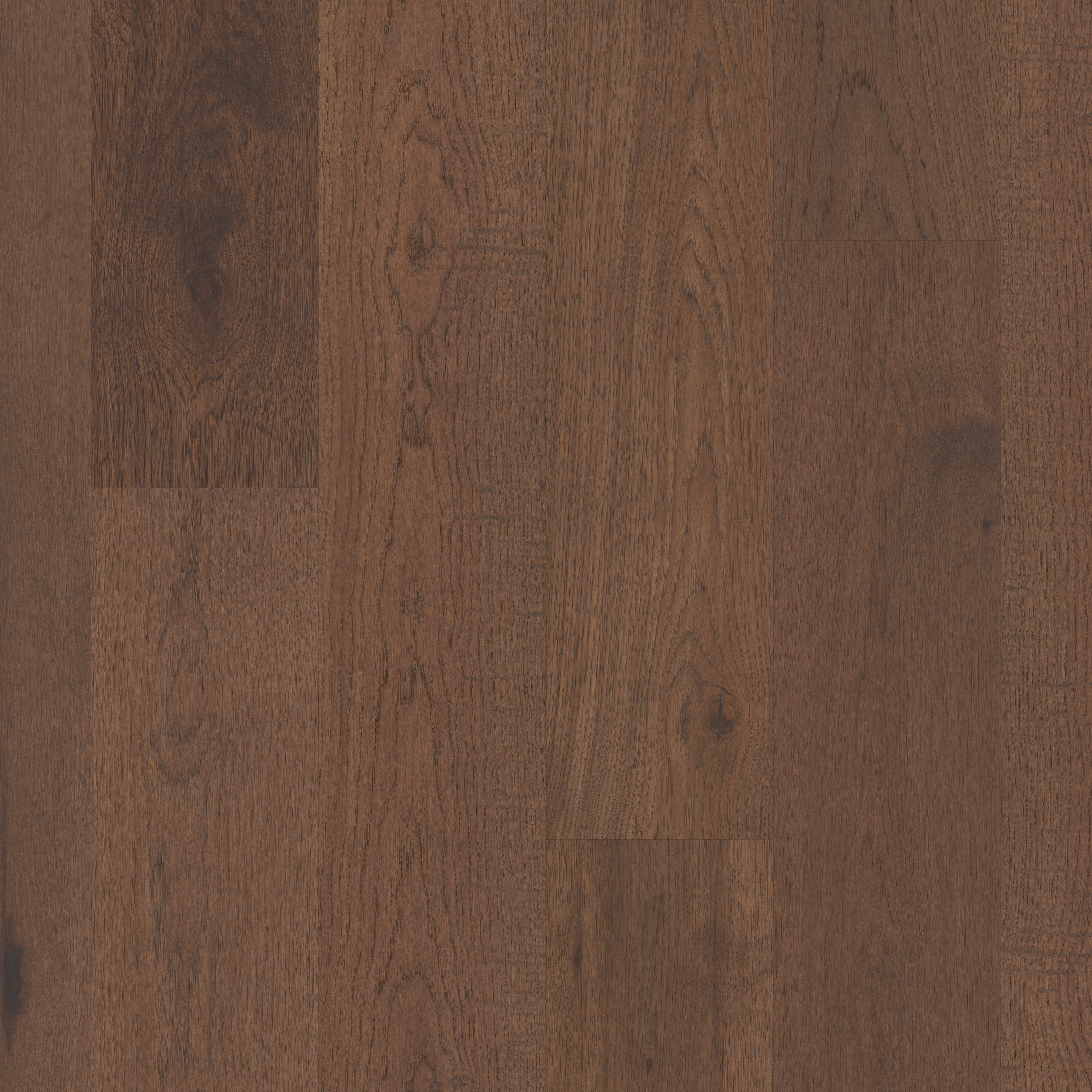 Chestnut 17040