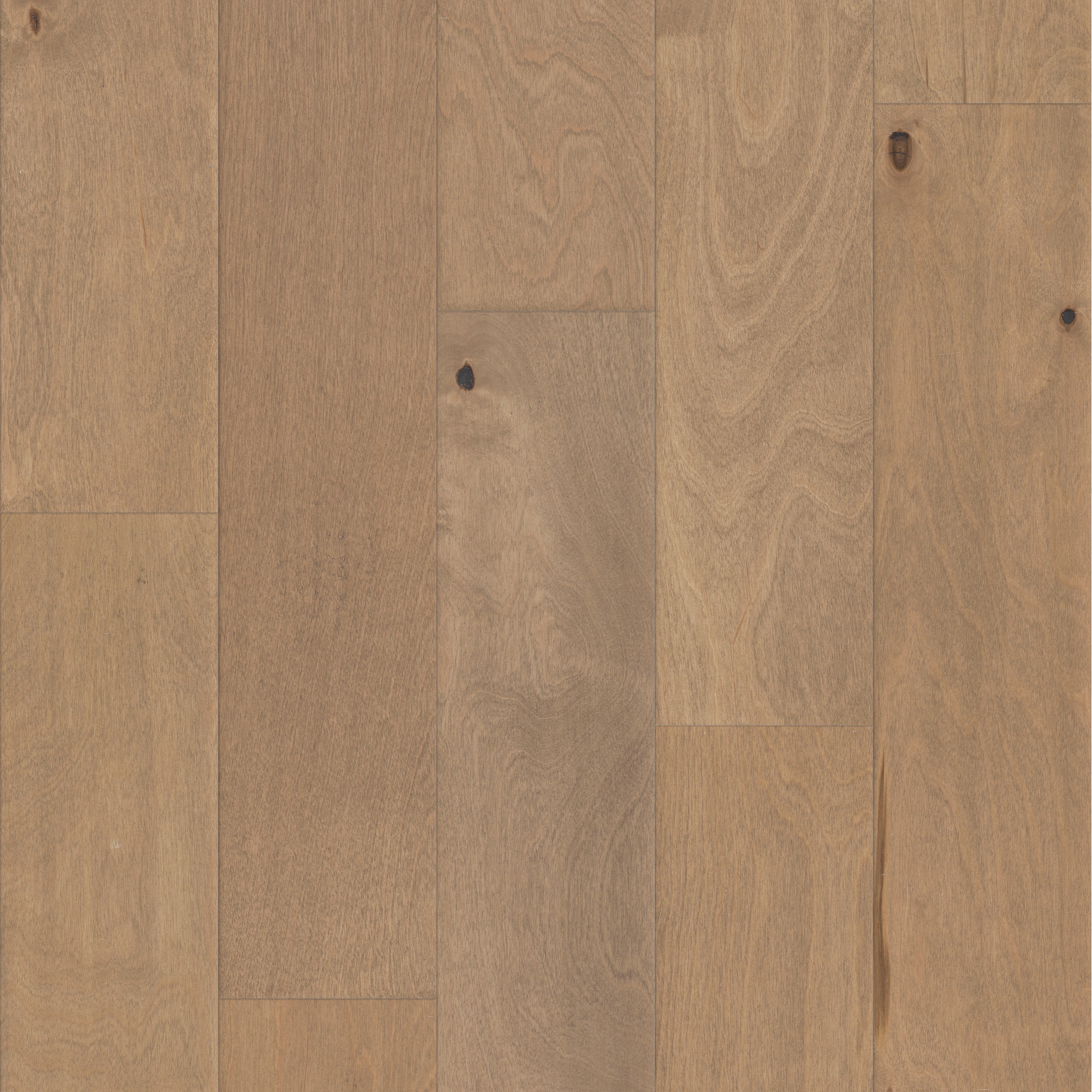Seagrass 11071