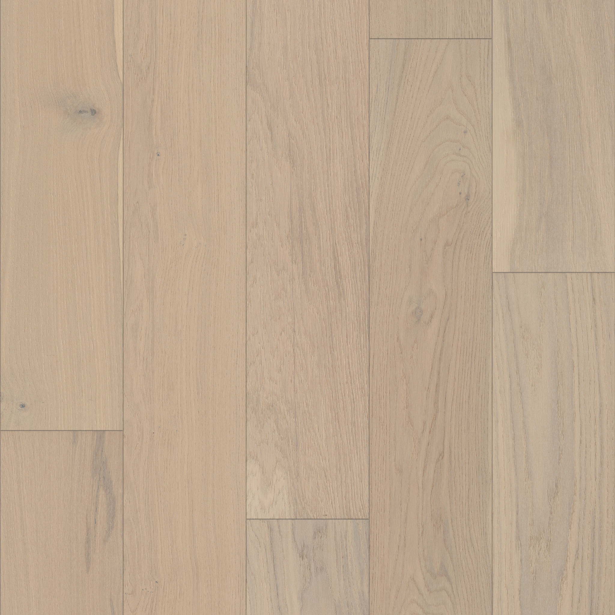 Regal 11069