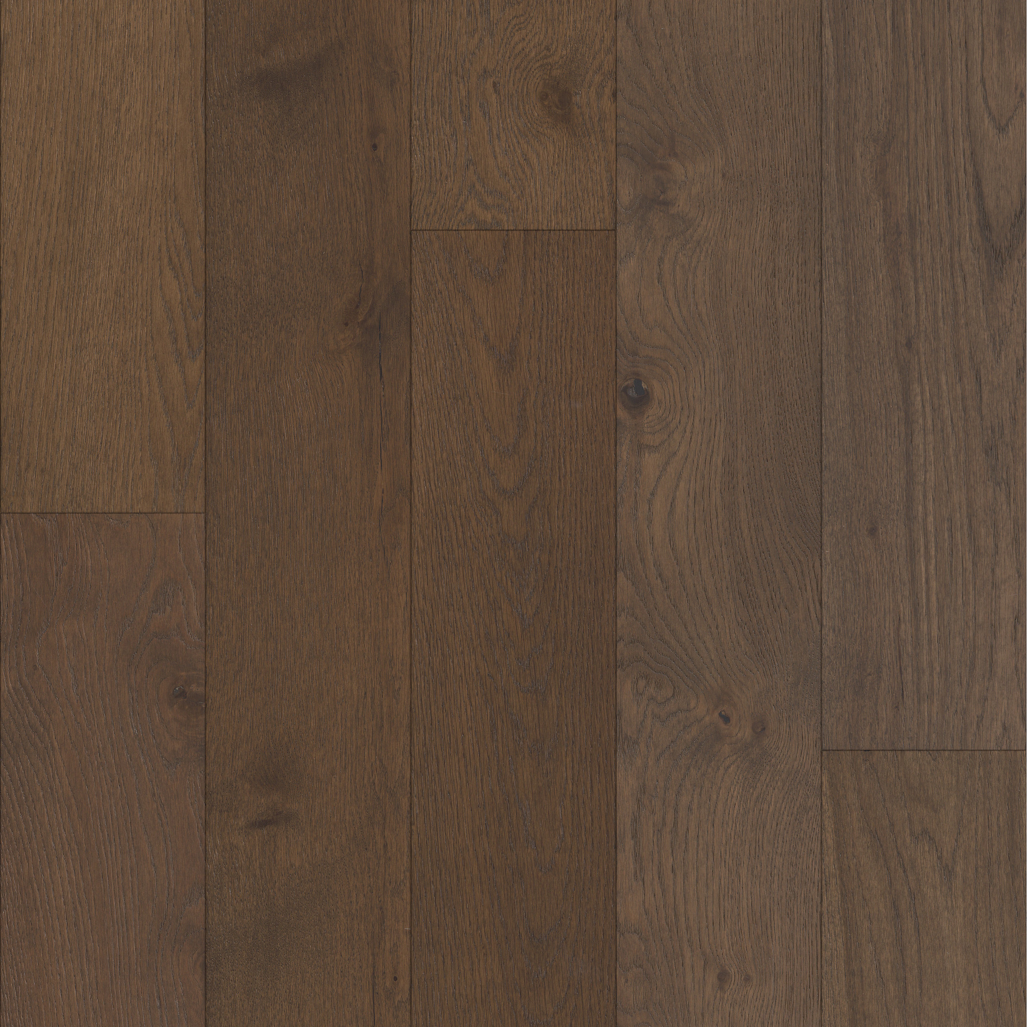 Eminence 17049