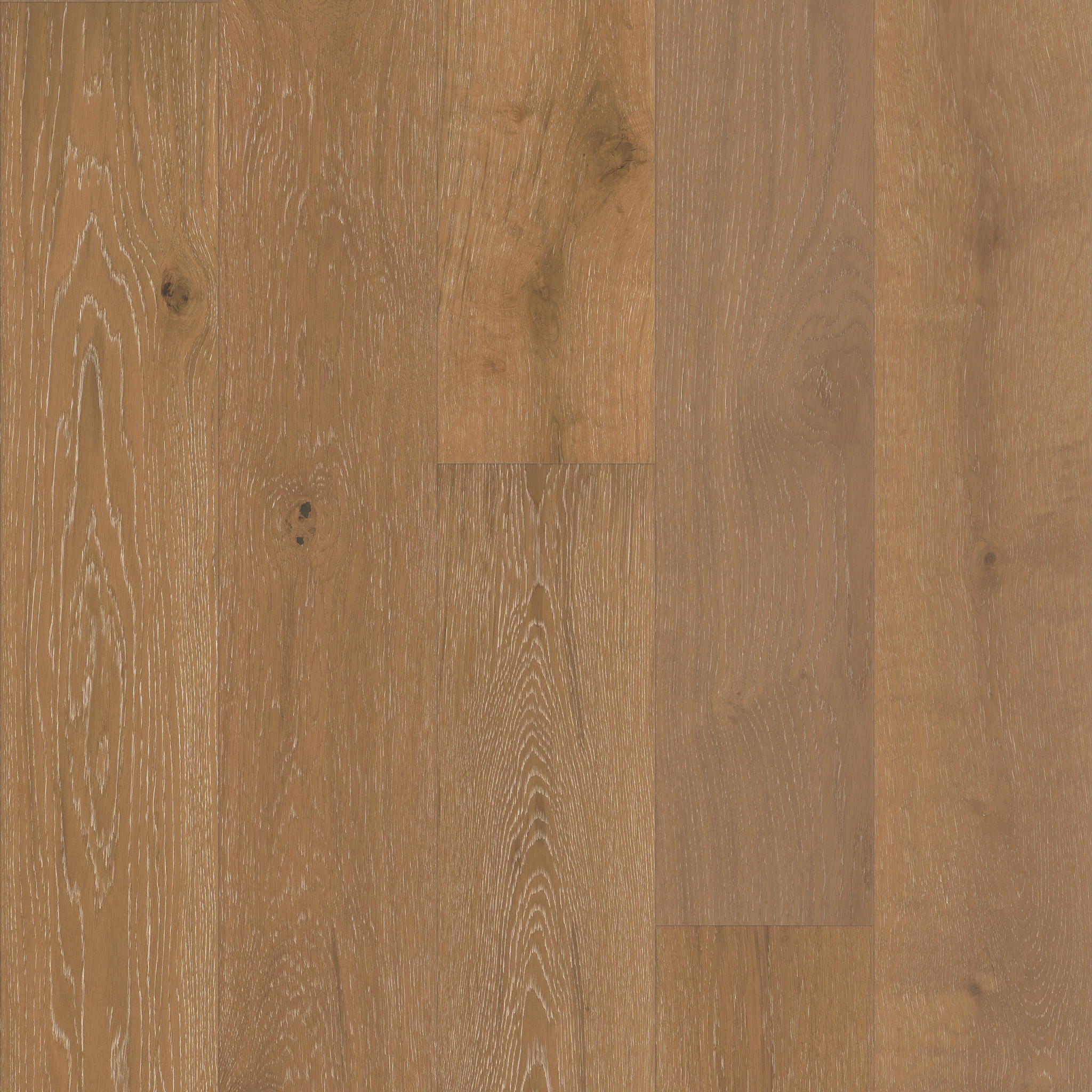Baroque 05031