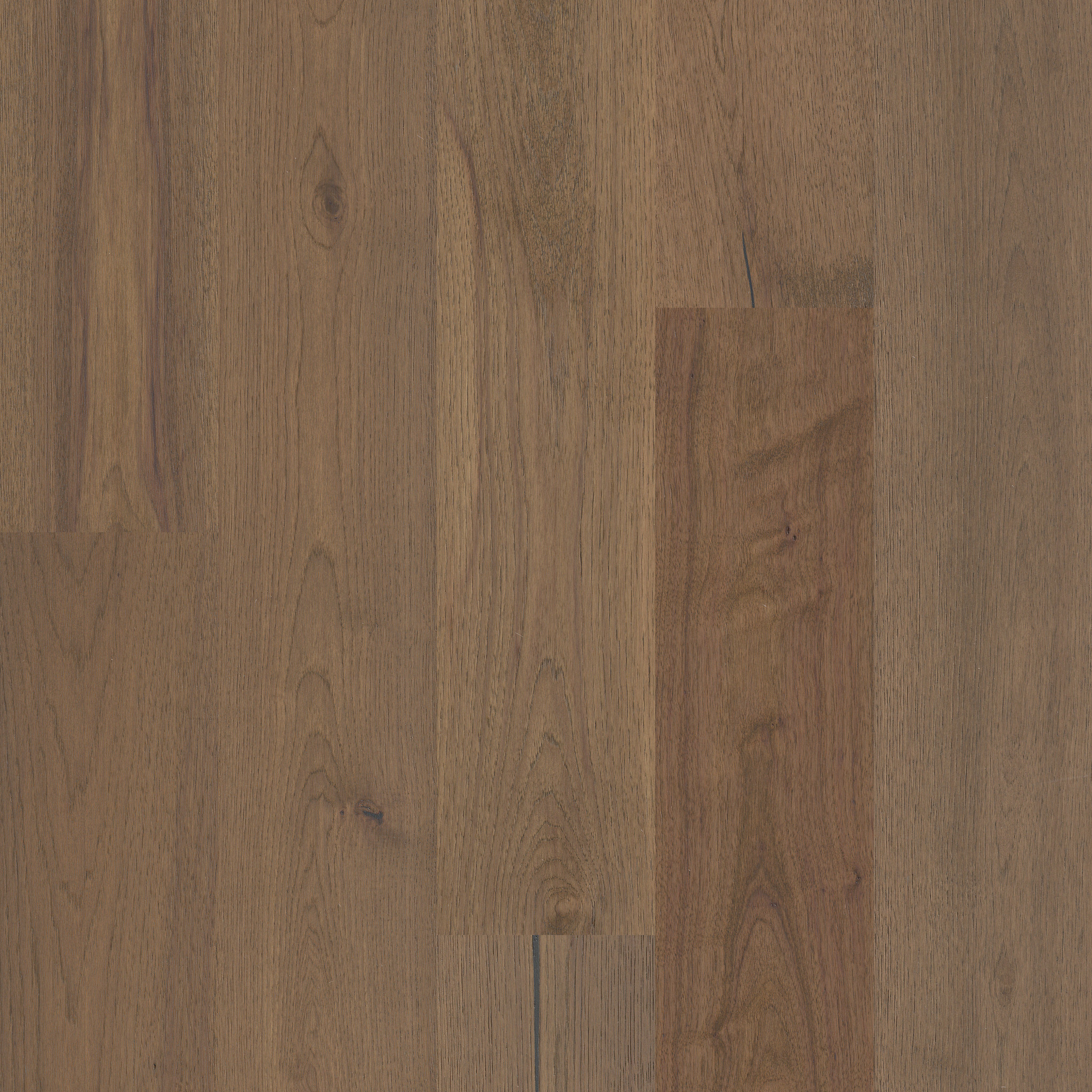 Romanesque 07018