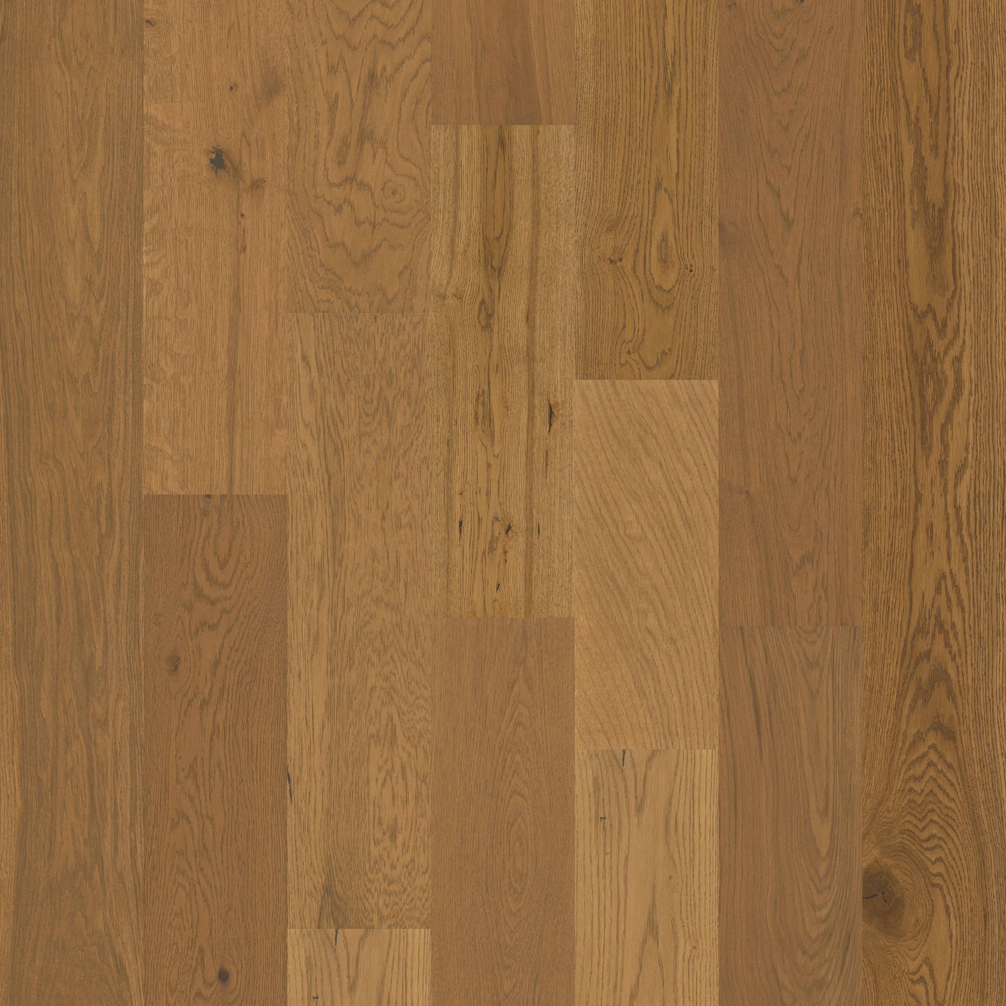Shaw Floors Floorte Exquisite Warmed Oak 02040_FH820