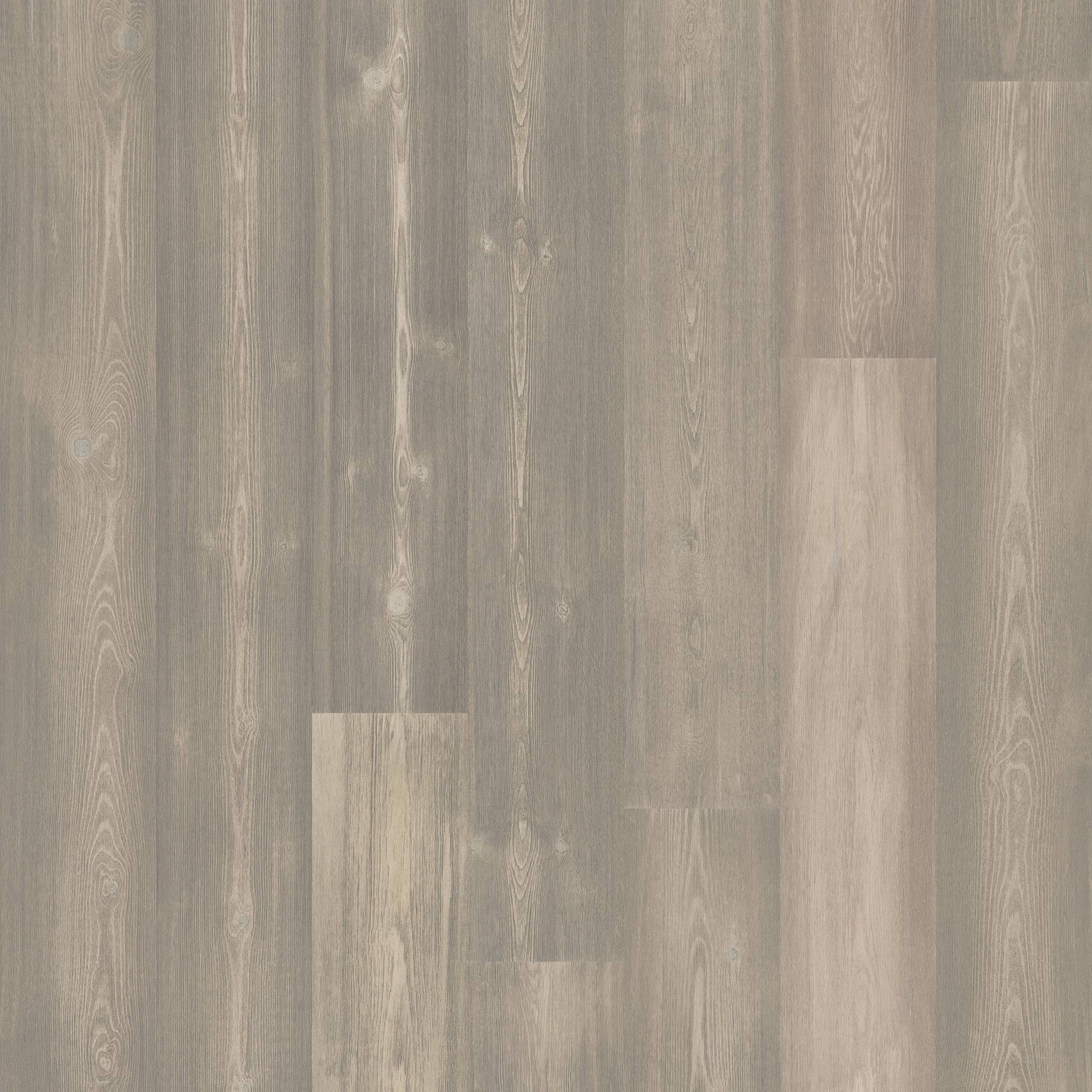 Shaw Floors Floorte Exquisite Twilight Pine 05066_FH820