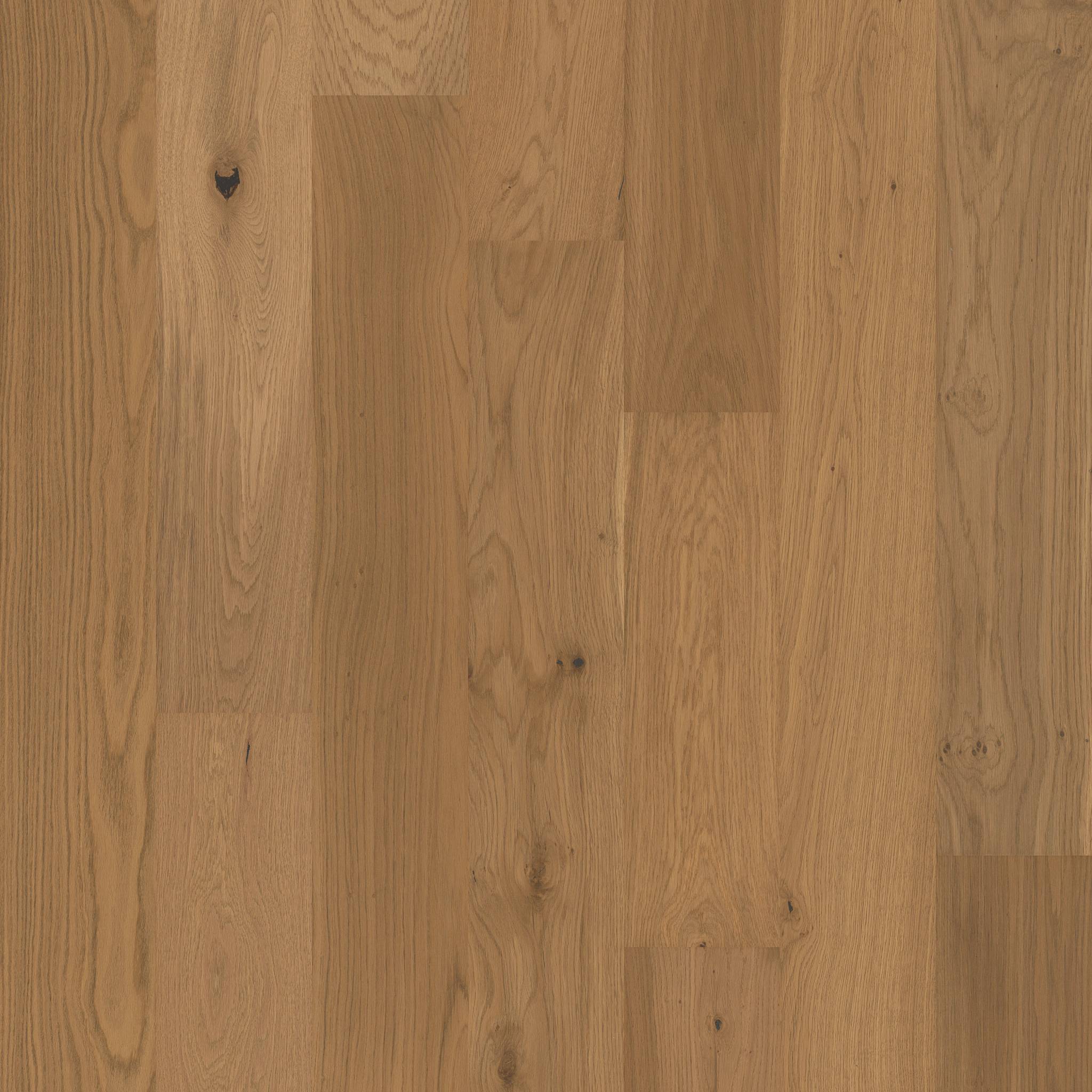 Shaw Floors Floorte Exquisite Safari Oak 07068_FH820